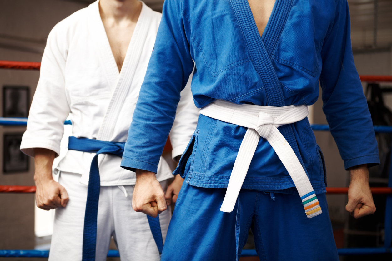 Die Techniken des Aikido
